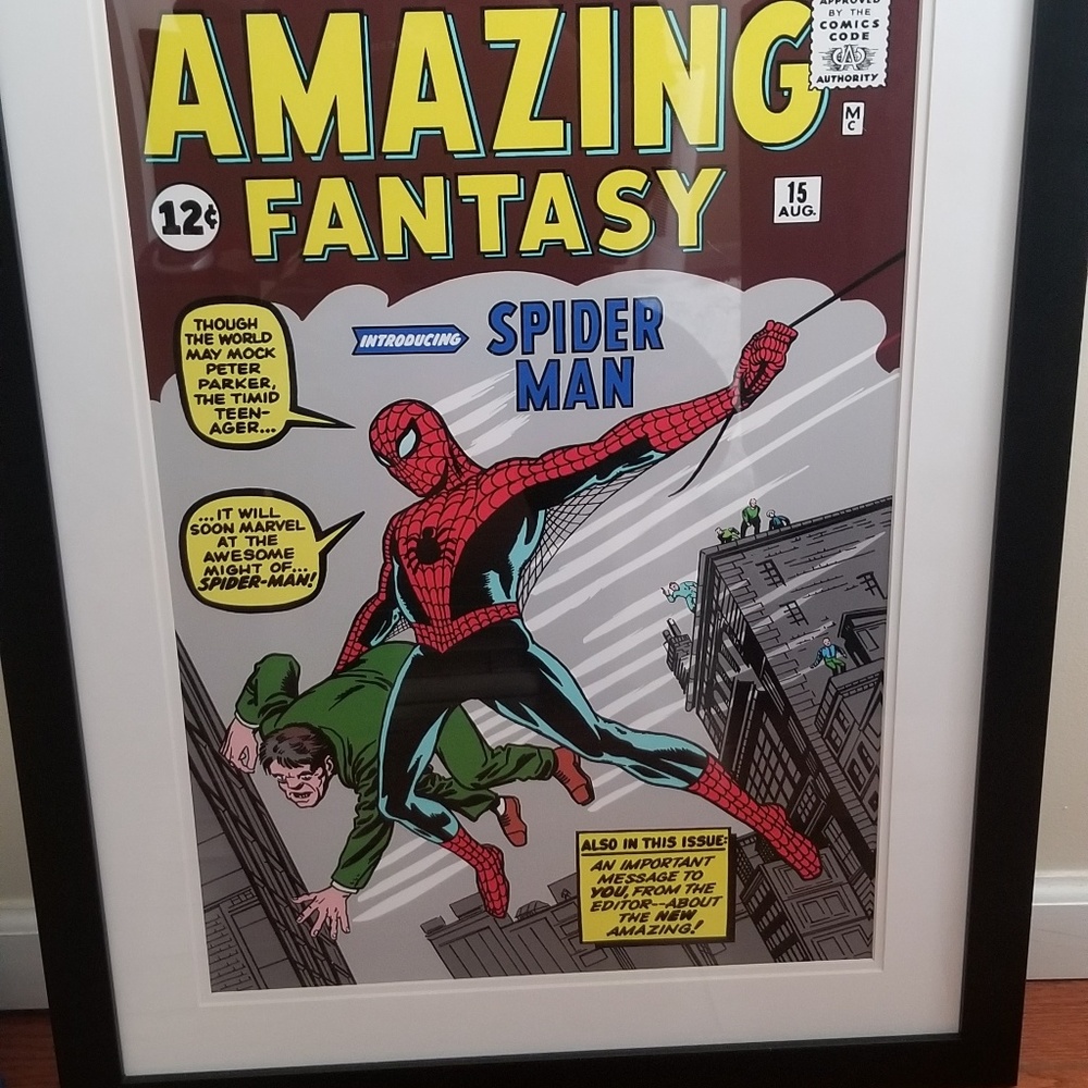 Spiderman poster in frame